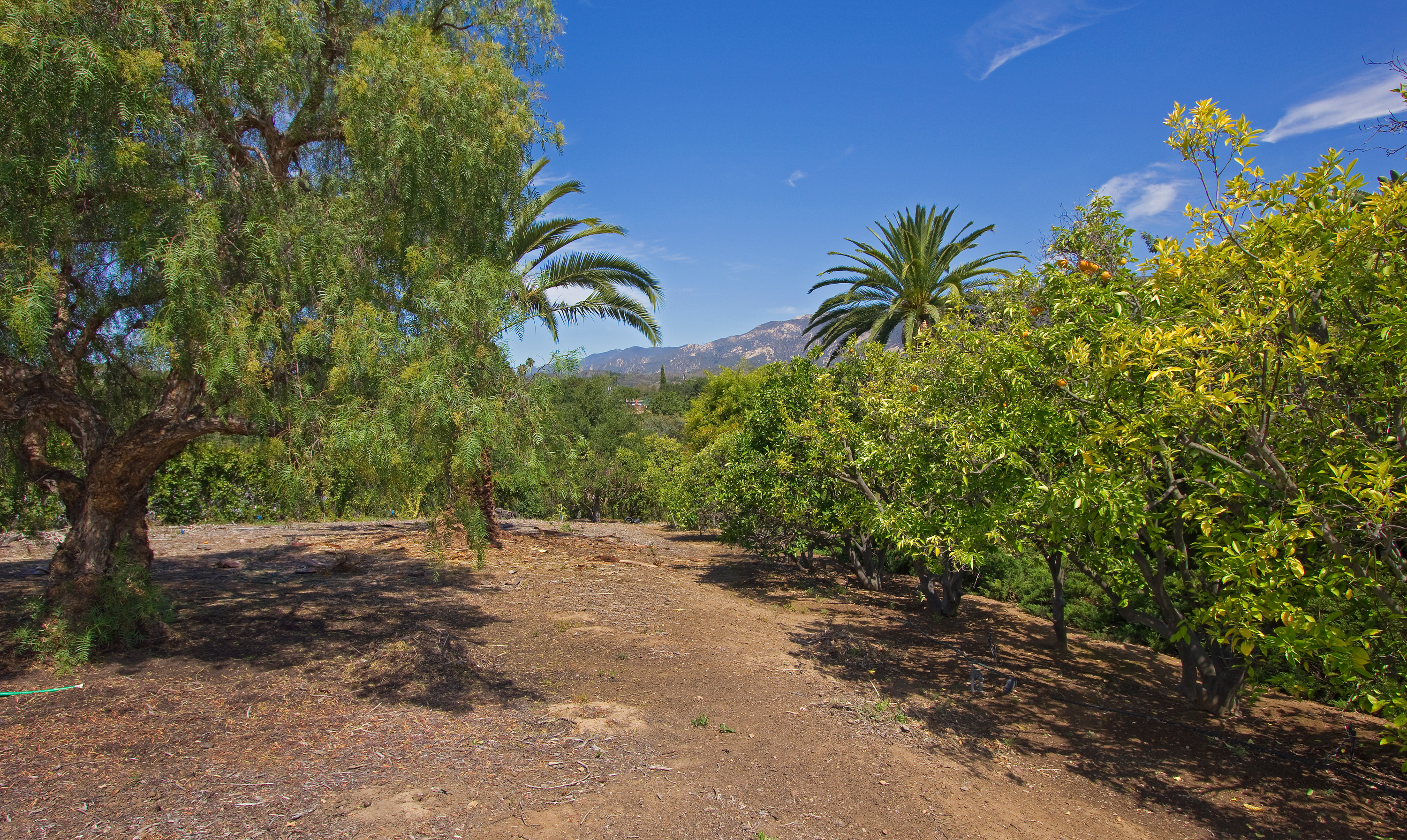 5903 Via Lemora Goleta Foothills JUST SOLD Santa Barbara Real