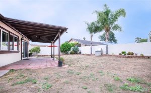 Big backyard, palm trees,