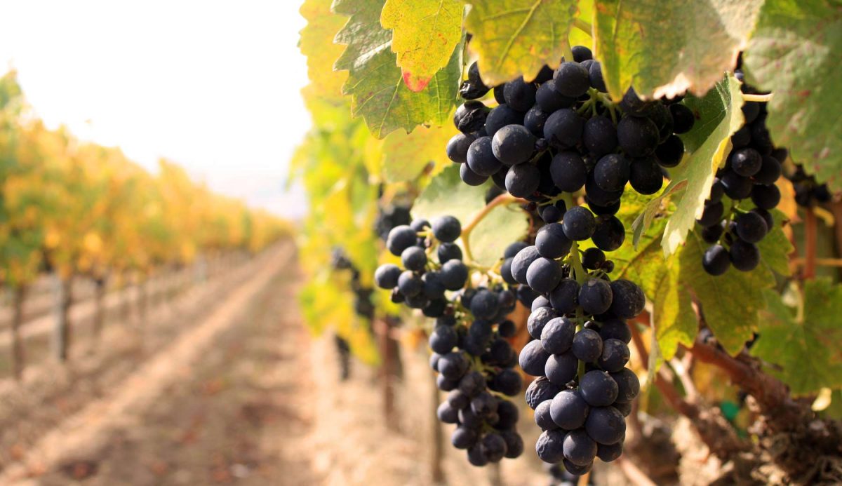 Lompoc Real Estate Agents Lompoc Homes For Sale